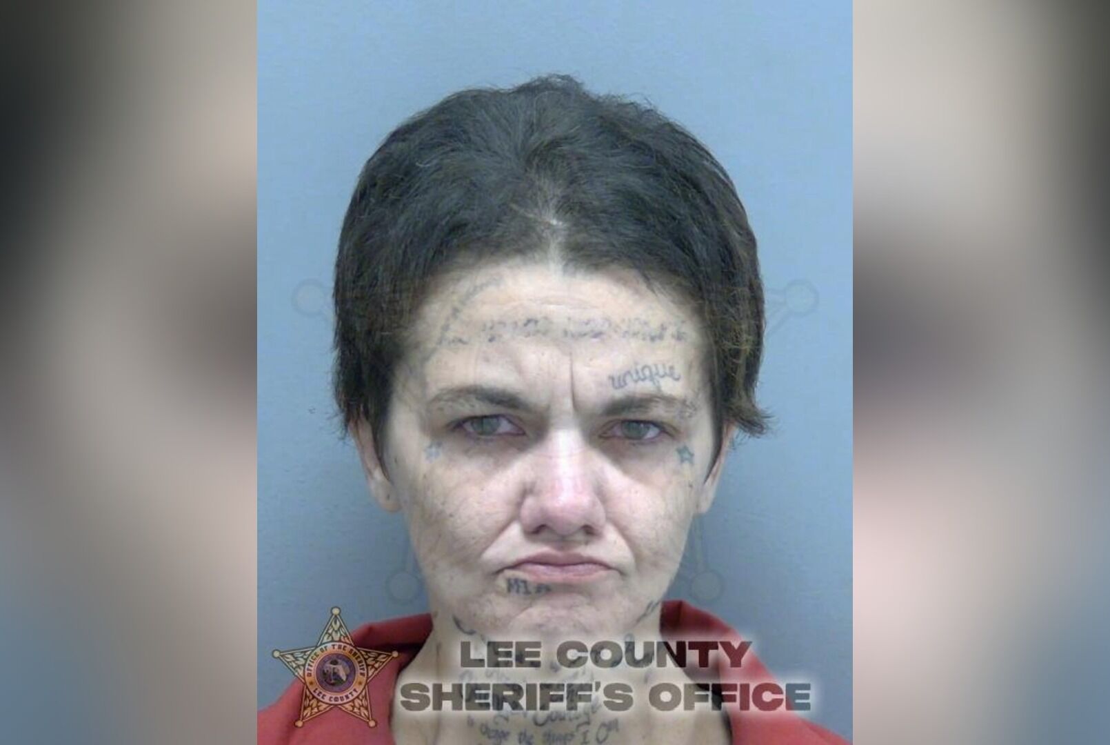 Crystal Rivera Mugshot